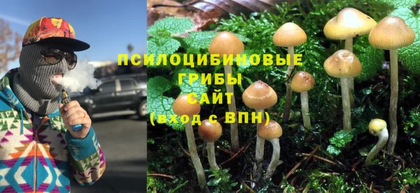 ПСИЛОЦИБИНОВЫЕ ГРИБЫ Алексин