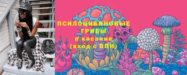 дурь Алзамай