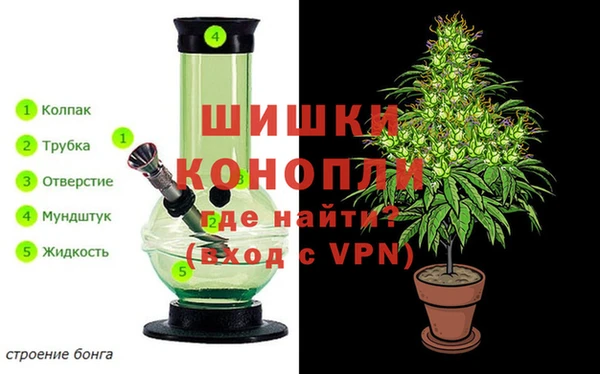дурь Алзамай