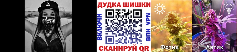 Каннабис SATIVA & INDICA  даркнет сайт  Полярные Зори 